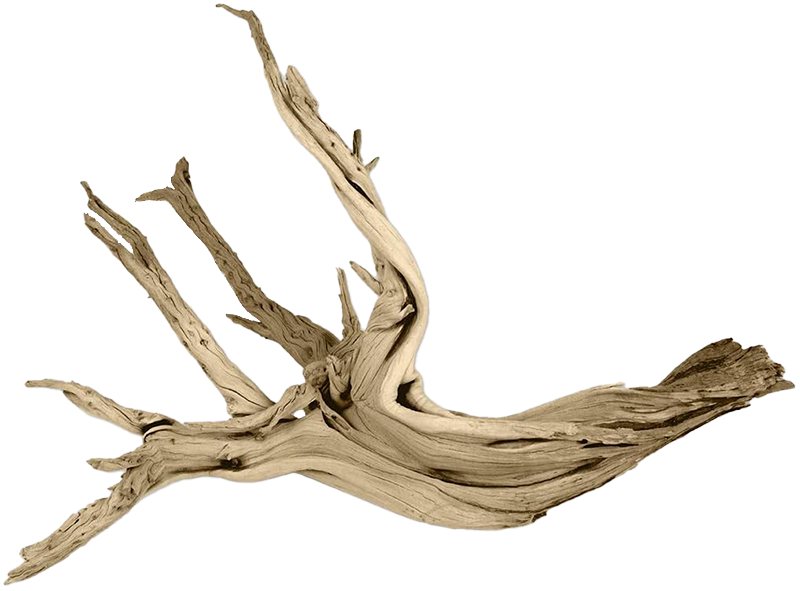 800 driftwood2