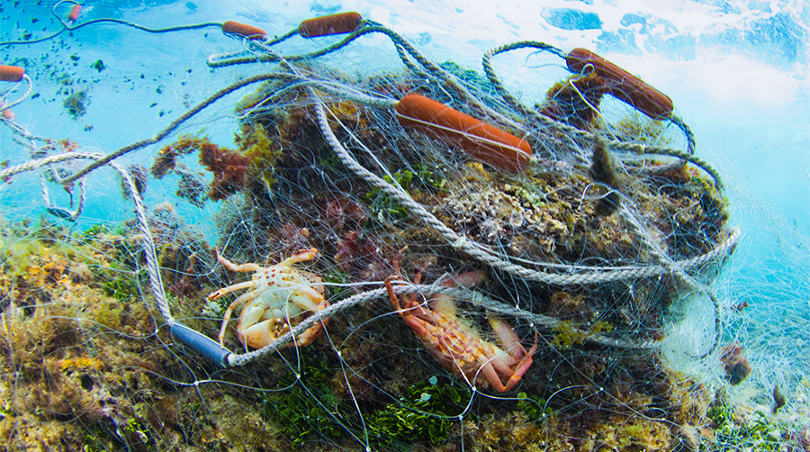 derelict nets
