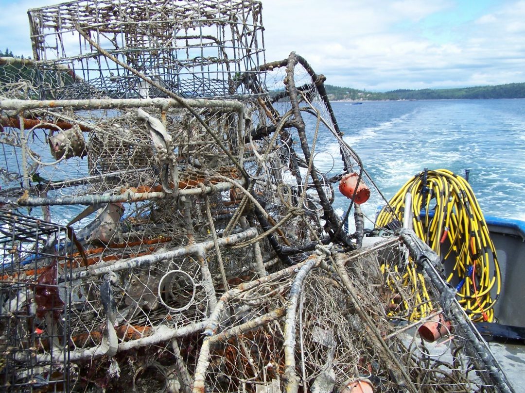 piles-of-crab-pots_june-18-2007-1080×810